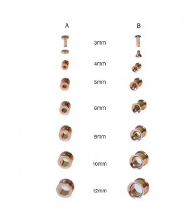 Exhibitor dilatations steel golden pink - EP2500GR Exhibitor dilatations steel golden pink - EP2500GR