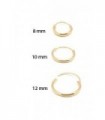 hoops sterling silver gold plated - ARO7D