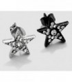 Pendientes estrella - PEN1140D